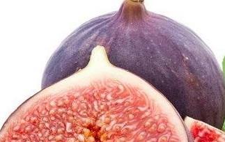 无花果的功效与作用 无花果的功效与作用及食用方法
