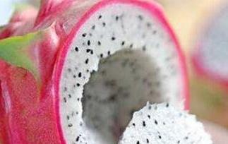 白色火龙果的功效与作用 白色火龙果的功效与作用禁忌