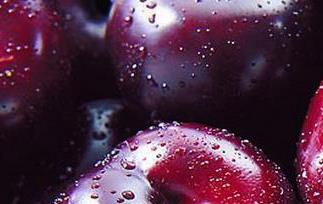 黑李的功效与作用 吃黑李的好处