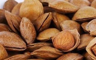杏仁壳的功效与作用及禁忌（杏核壳的作用与功效）