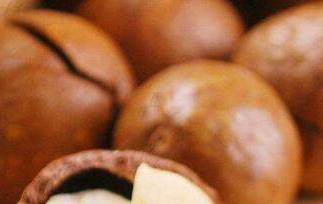 夏威夷果怎么打开 夏威夷果怎么剥 技巧