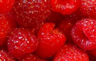 山莓的营养价值与功效 山莓的作用与功效