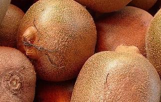 猕猴桃怎么吃最好 猕猴桃该怎么吃好