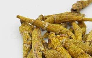 紫皮石斛和铁皮石斛的区别 紫皮石斛与铁皮石斛的区别