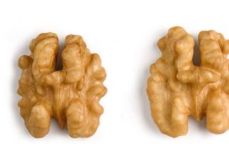 核桃仁的食疗作用与用法（核桃仁的食疗作用与用法禁忌）