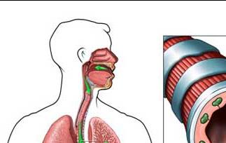 小孩支气管炎食疗方法（孩子支气管炎食疗方法）