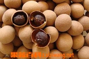 孕妇可以吃桂圆吗（孕妇可以吃桂圆吗前三个月）