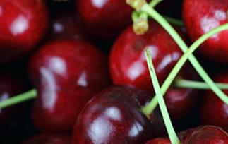 吃樱桃的好处与坏处（吃樱桃的好处与坏处图片）