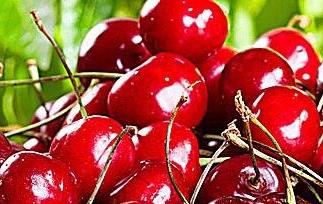 车厘子是什么 吃车厘子有什么好处