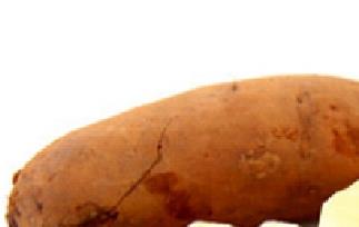 雪莲果怎么做好吃（雪莲果怎么做菜才好吃）