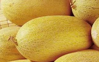 哈密瓜的功效与作用（孩子吃哈密瓜的功效与作用）