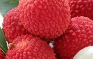 荔枝怎么保存 荔枝怎么保存不会坏