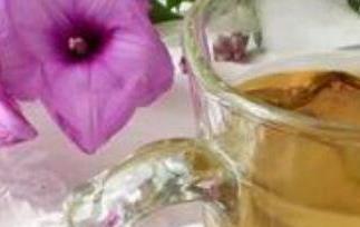 干石斛怎么泡水喝（干石斛怎么泡水喝效果最好）