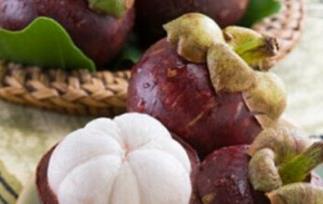 山竹的吃法以及食用禁忌 山竹的禁忌食物