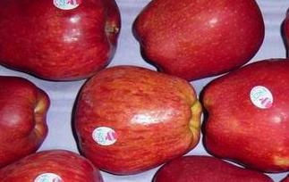 吃蛇果的好处有哪些 吃蛇果的好处有哪些功效