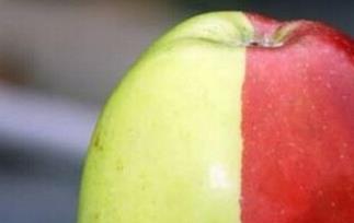 半红半绿苹果的功效与作用(半红半绿苹果的功效与作用及禁忌)