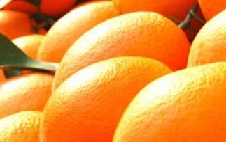 吃脐橙会上火吗 吃脐橙会上火吗还是去火