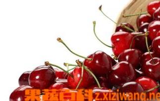 车厘子和樱桃的区别