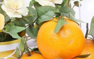 贡柑的功效与作用（贡柑的功效与作用）