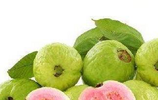 台湾红心芭乐的功效（红心芭乐营养价值及功效）