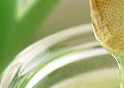 鲜芦荟液的功效与作用