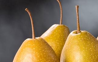 雪花梨的功效与作用 雪花梨的功效与作用与图片