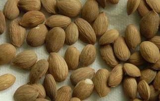 山桃仁的功效与作用 中药燀山桃仁的功效与作用