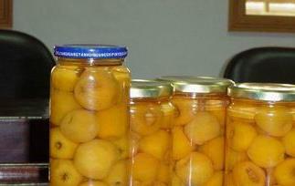 怎样自制枇杷罐头（怎样自制枇杷罐头好吃）