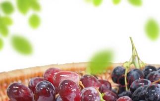 黑提和红提的哪个好（黑提好还是红提好）