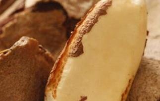 沙漠果/鲍鱼果的营养价值及功效作用 鲍鱼沙漠果的功效与作用