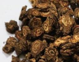 羌活对男性的功效与作用 羌活功效与作用功效