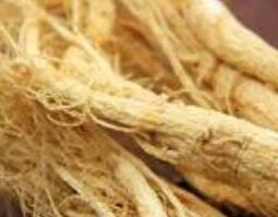 生山参和生晒参的区别 生山参和生晒参有什么区别