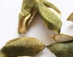 青皮和陈皮的区别 青皮和陈皮的区别与功效