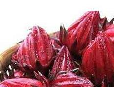 洛神花的功效与作用 洛神花的功效与作用是什么