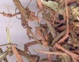 中药川谷根的功效与作用及药用价值（中药川谷根的功效与作用及药用价值图片）