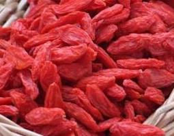 枸杞生吃的功效与作用（枸杞生吃有什么作用与功效）