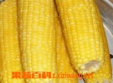 煮玉米需要多长时间 煮玉米需要多长时间冷水下锅吗