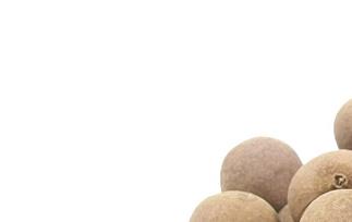 桂圆的作用,养生功效和贮存方法 桂圆的功效与作用及食用方法