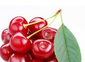 樱桃