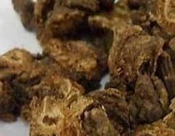 羌活的功效与作用及药用价值 羌活的药用价值和功效