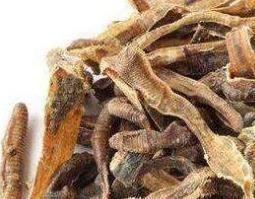 炒地龙与生地龙的区别 炒地龙和地龙的区别