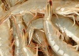 催奶的食物有哪些 产后无奶吃什么好