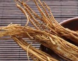 云南西归的功效与作用 西归的药用价值