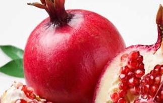 石榴产地,生长环境和品种