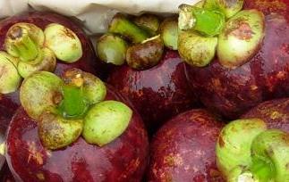 孕妇可不可以吃山竹呢(请问孕妇可以吃山竹吗?)