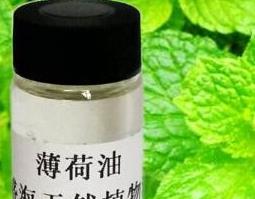 薄荷油的功效与作用及用法 薄荷油的功效与作用及用法图片