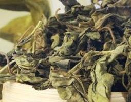 蒲公英茶的副作用 蒲公英茶哪些人不宜喝