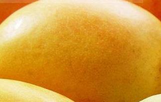 芒果营养价值和食用效果 芒果的营养价值与食用功效