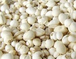 贝母散的功效与作用（贝母散的组成）