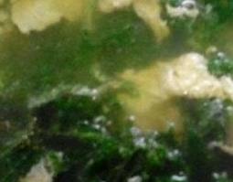 蒲公英菜打汤怎么做（蒲公英菜打汤怎么做好喝）